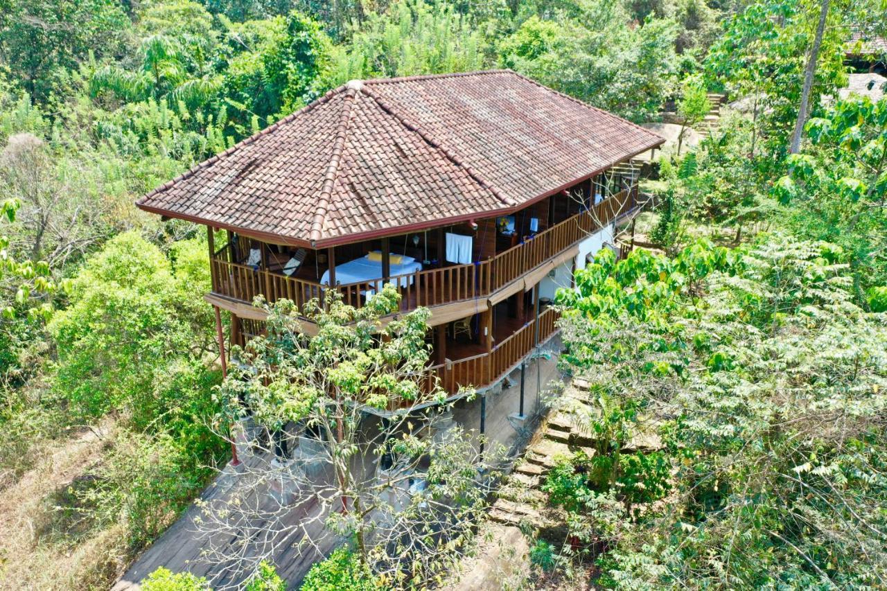 Wanakaset Forest Glamping Kitulgala Exterior foto
