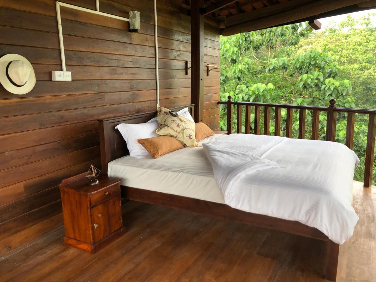 Wanakaset Forest Glamping Kitulgala Exterior foto