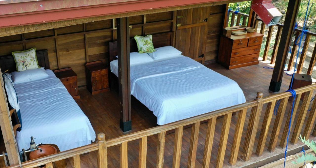Wanakaset Forest Glamping Kitulgala Exterior foto