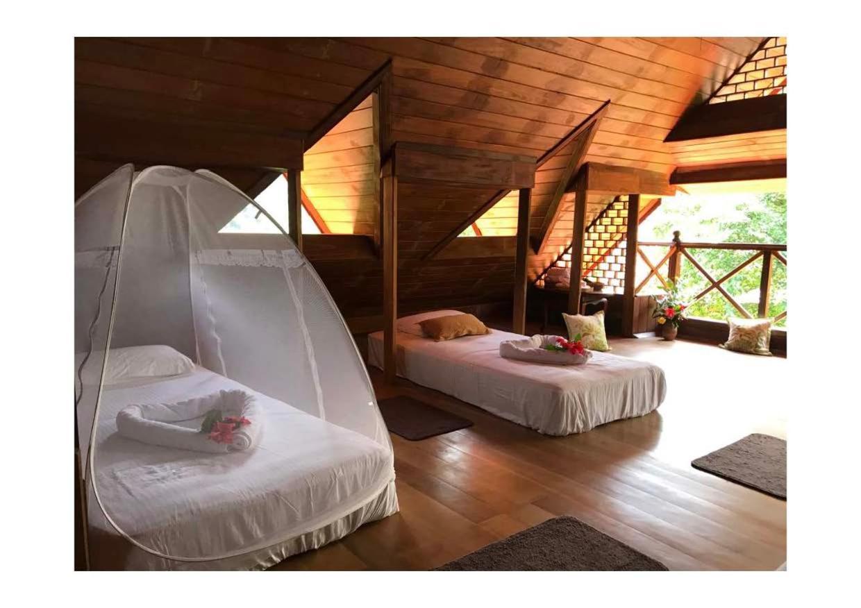 Wanakaset Forest Glamping Kitulgala Exterior foto