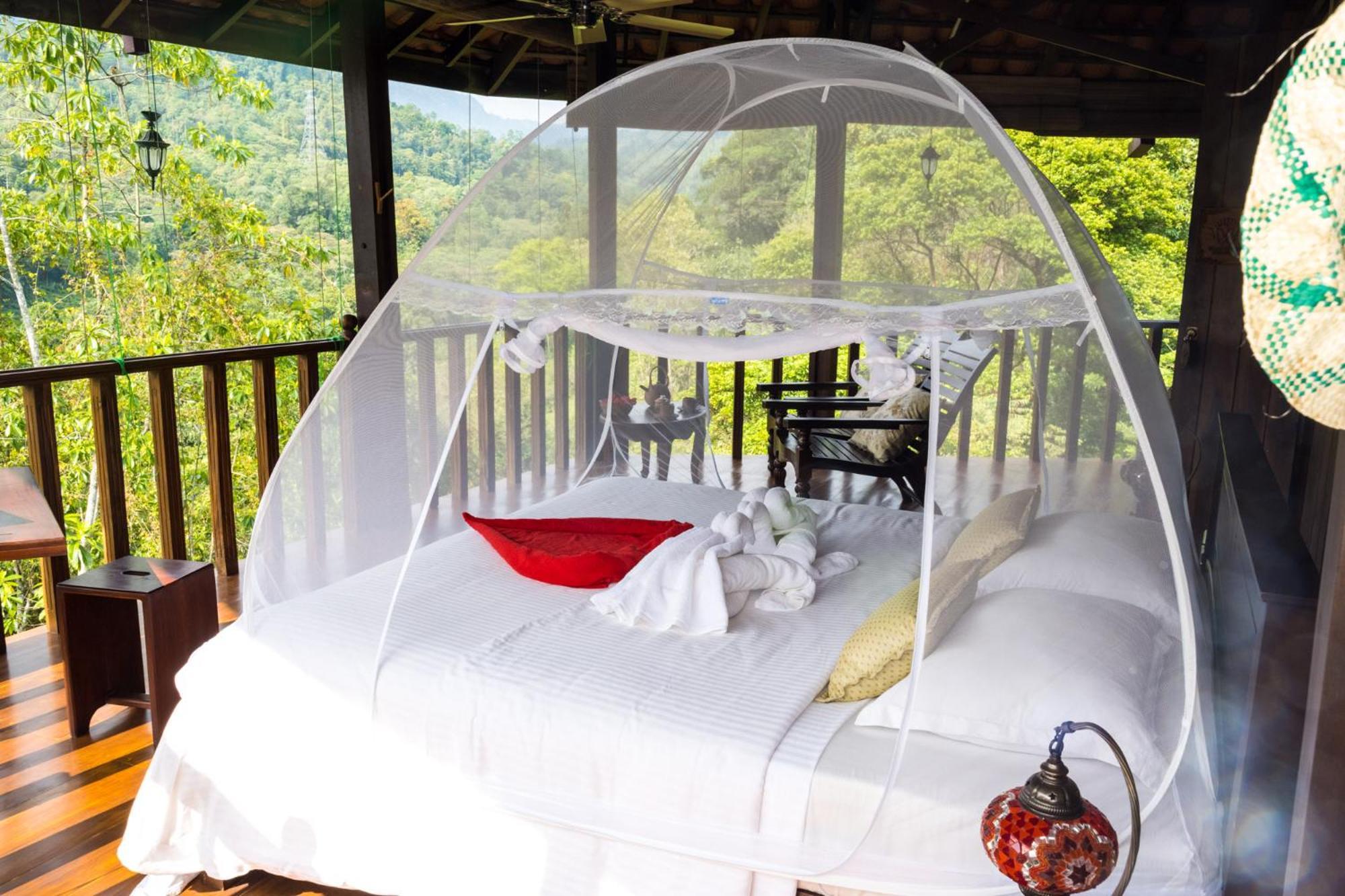 Wanakaset Forest Glamping Kitulgala Exterior foto