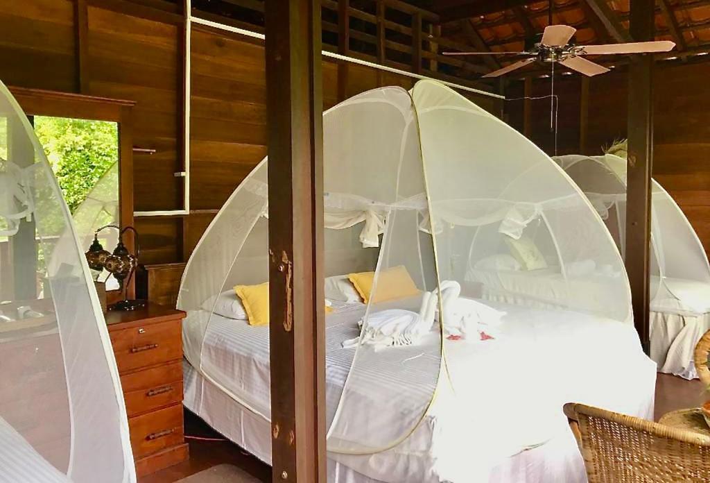 Wanakaset Forest Glamping Kitulgala Exterior foto