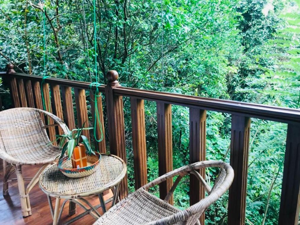 Wanakaset Forest Glamping Kitulgala Exterior foto