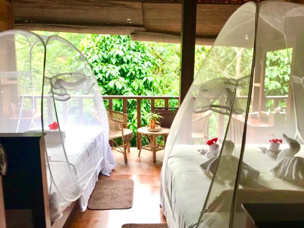 Wanakaset Forest Glamping Kitulgala Exterior foto