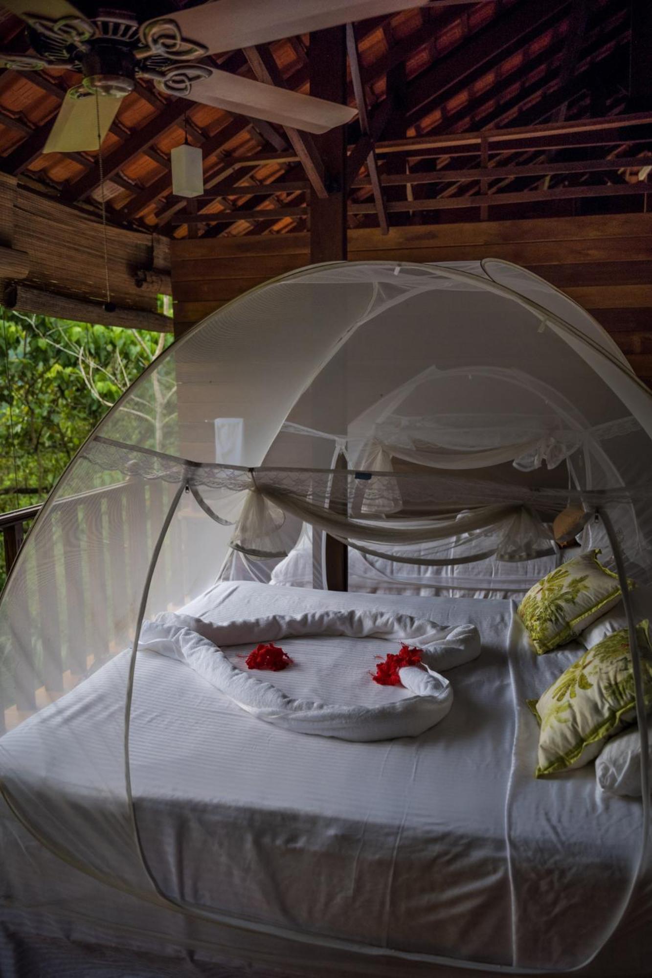Wanakaset Forest Glamping Kitulgala Exterior foto