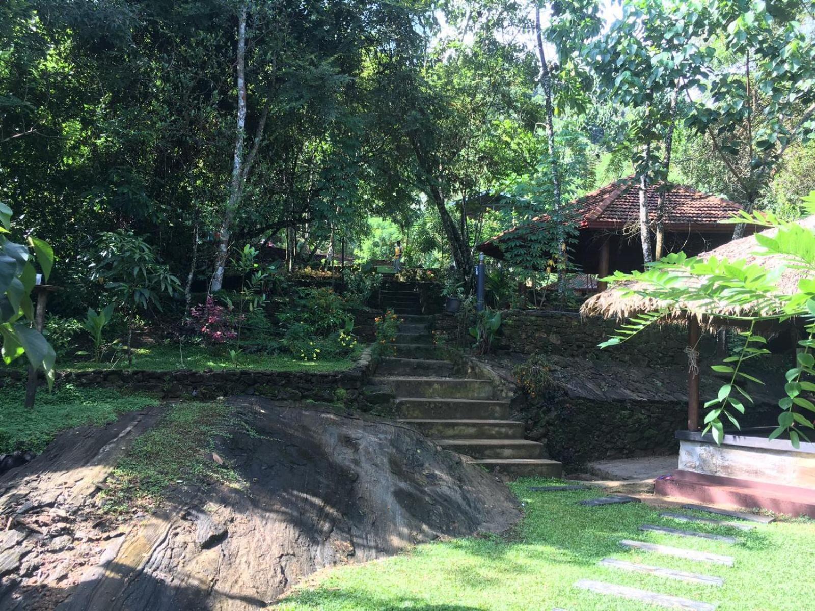Wanakaset Forest Glamping Kitulgala Exterior foto